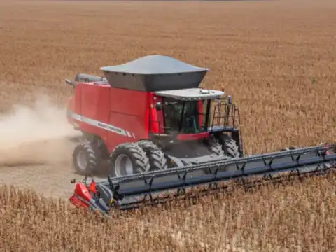 Colheitadeira Massey Ferguson colhendo